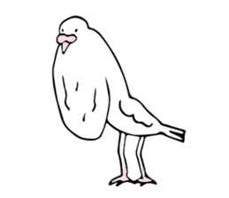 chicken breast poropin sticker #8543835