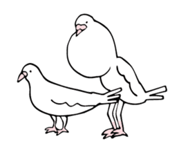 chicken breast poropin sticker #8543856
