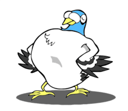 pigeon communicate sticker #8545267