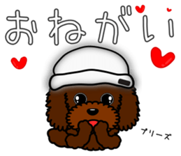 Pretty poodle(Winter) sticker #8546657