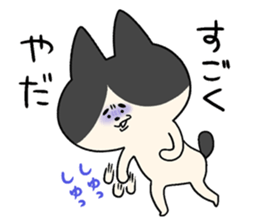 HACHIWARE chanpii sticker #8548025