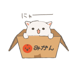 Cat in Cardboard Part.2 sticker #8548754