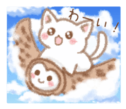 I love cats and Owl sticker #8552183