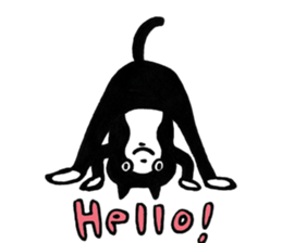 swami hachinyanda sticker #8553865