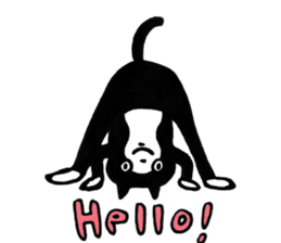 swami hachinyanda sticker #8553865