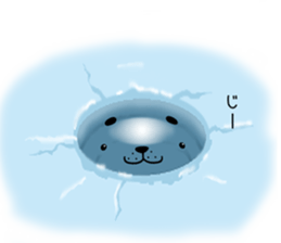 earless seals[azarashi0] sticker #8554042