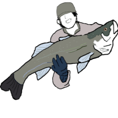 seabass fishing Sticker