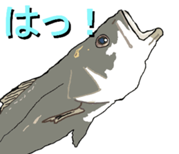 seabass fishing Sticker sticker #8554213