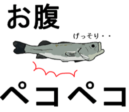 seabass fishing Sticker sticker #8554214