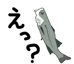 seabass fishing Sticker sticker #8554216