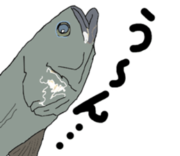 seabass fishing Sticker sticker #8554217