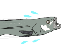 seabass fishing Sticker sticker #8554219