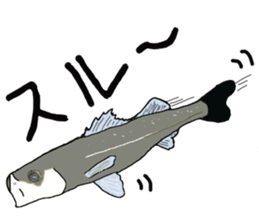 seabass fishing Sticker sticker #8554220