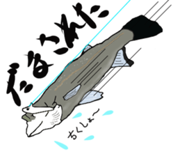 seabass fishing Sticker sticker #8554222