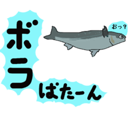 seabass fishing Sticker sticker #8554231
