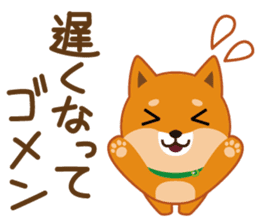 Shiba dog "MUSASHI" 5 sticker #8556115