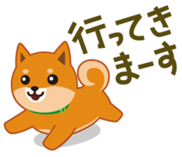 Shiba dog "MUSASHI" 5 sticker #8556116
