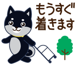 Shiba dog "MUSASHI" 5 sticker #8556117