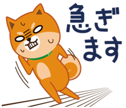 Shiba dog "MUSASHI" 5 sticker #8556118