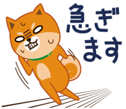Shiba dog "MUSASHI" 5 sticker #8556118