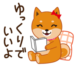 Shiba dog "MUSASHI" 5 sticker #8556120