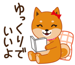 Shiba dog "MUSASHI" 5 sticker #8556120
