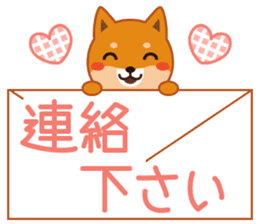 Shiba dog "MUSASHI" 5 sticker #8556121