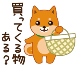 Shiba dog "MUSASHI" 5 sticker #8556122