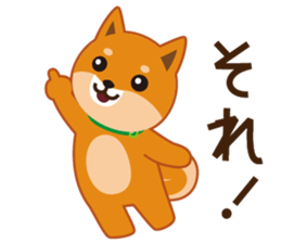 Shiba dog "MUSASHI" 5 sticker #8556123