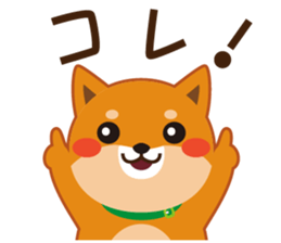 Shiba dog "MUSASHI" 5 sticker #8556124