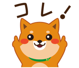 Shiba dog "MUSASHI" 5 sticker #8556124