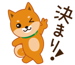 Shiba dog "MUSASHI" 5 sticker #8556125