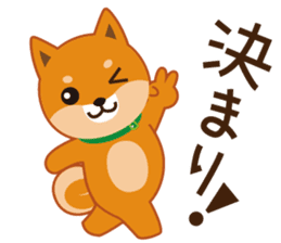 Shiba dog "MUSASHI" 5 sticker #8556125