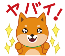 Shiba dog "MUSASHI" 5 sticker #8556128