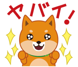 Shiba dog "MUSASHI" 5 sticker #8556128