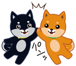 Shiba dog "MUSASHI" 5 sticker #8556133
