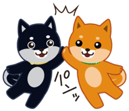 Shiba dog "MUSASHI" 5 sticker #8556133