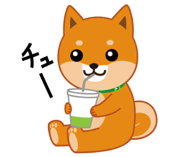 Shiba dog "MUSASHI" 5 sticker #8556135