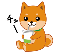 Shiba dog "MUSASHI" 5 sticker #8556135