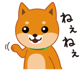 Shiba dog "MUSASHI" 5 sticker #8556136