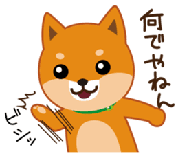 Shiba dog "MUSASHI" 5 sticker #8556141