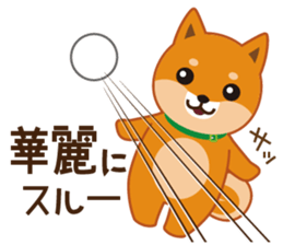 Shiba dog "MUSASHI" 5 sticker #8556142