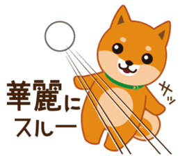 Shiba dog "MUSASHI" 5 sticker #8556142