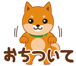 Shiba dog "MUSASHI" 5 sticker #8556143
