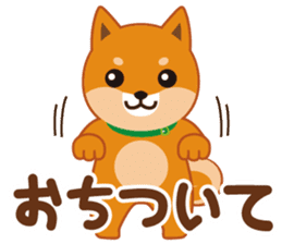 Shiba dog "MUSASHI" 5 sticker #8556143