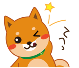 Shiba dog "MUSASHI" 5 sticker #8556145
