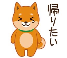 Shiba dog "MUSASHI" 5 sticker #8556146