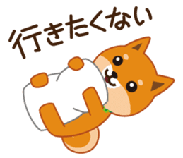 Shiba dog "MUSASHI" 5 sticker #8556147