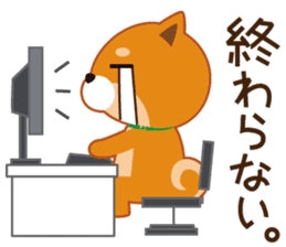 Shiba dog "MUSASHI" 5 sticker #8556148