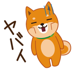 Shiba dog "MUSASHI" 5 sticker #8556149